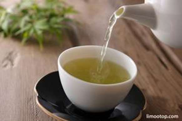 چای سبز؛ گیاهی فراتر از یک نوشیدنی با خواص دارویی قابل‌توجه